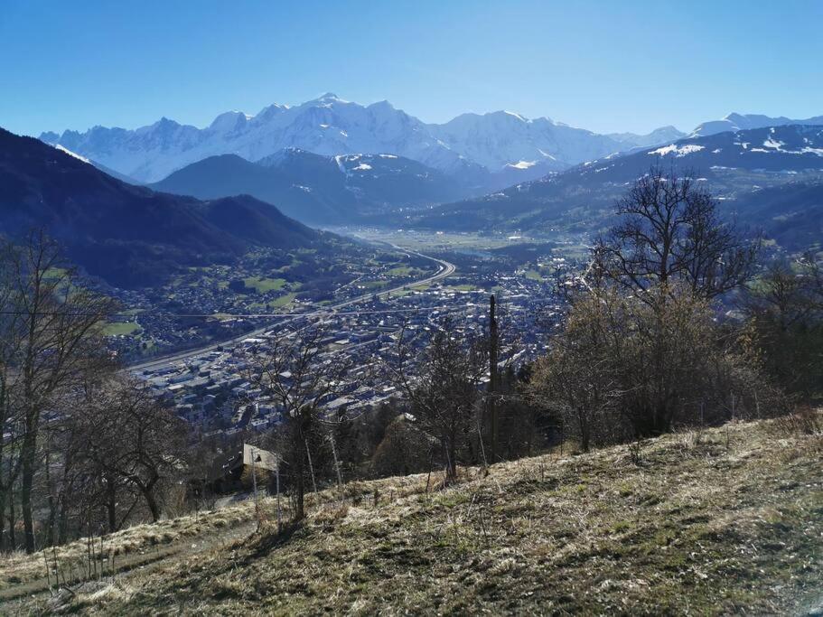Super Appartement Cocooning Vu Mont Blanc Sallanches Exterior photo