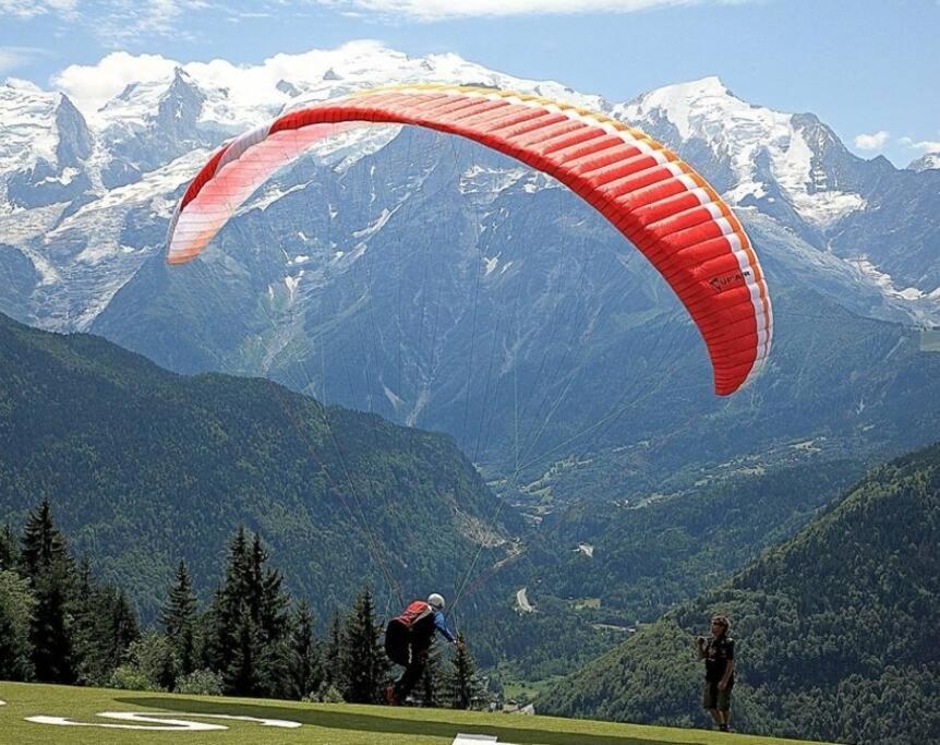 Super Appartement Cocooning Vu Mont Blanc Sallanches Exterior photo